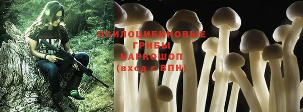 spice Волоколамск