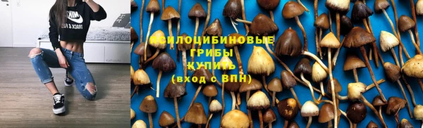 тгк Осинники