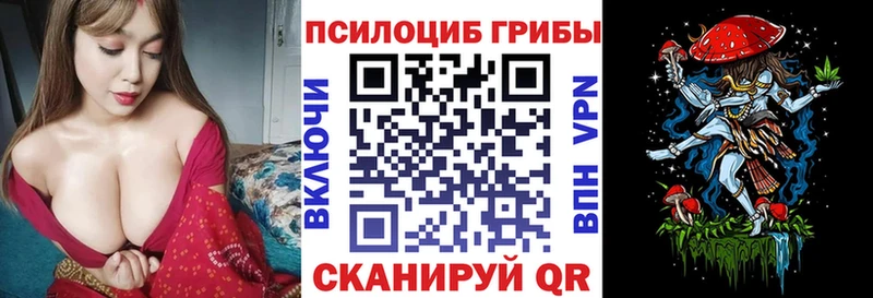 Галлюциногенные грибы Psilocybe  Купить где  Анадырь 